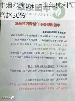 中烟涨逾5% 上半年纯利预增超30%