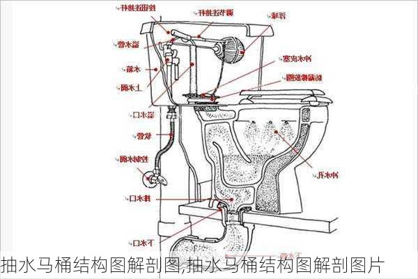 抽水马桶结构图解剖图,抽水马桶结构图解剖图片