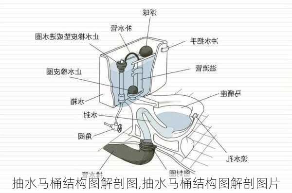 抽水马桶结构图解剖图,抽水马桶结构图解剖图片