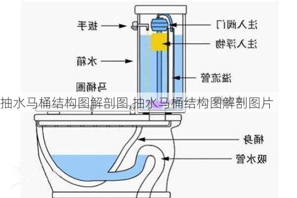 抽水马桶结构图解剖图,抽水马桶结构图解剖图片