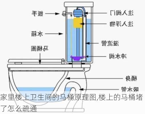 家里楼上卫生间的马桶原理图,楼上的马桶堵了怎么疏通