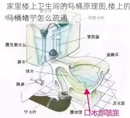 家里楼上卫生间的马桶原理图,楼上的马桶堵了怎么疏通