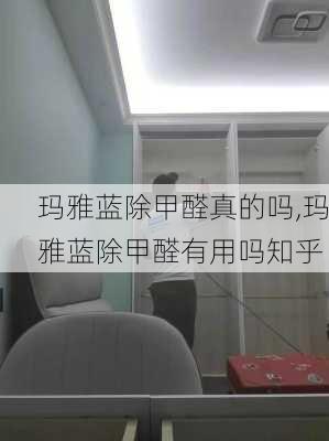 玛雅蓝除甲醛真的吗,玛雅蓝除甲醛有用吗知乎