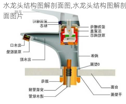 水龙头结构图解剖面图,水龙头结构图解剖面图片