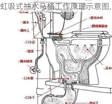 虹吸式抽水马桶工作原理示意图,