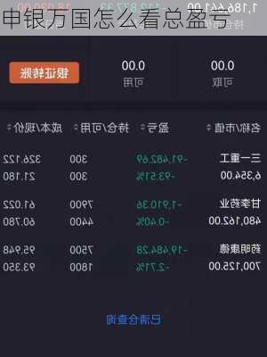 申银万国怎么看总盈亏