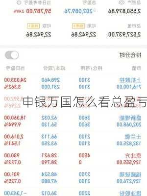 申银万国怎么看总盈亏