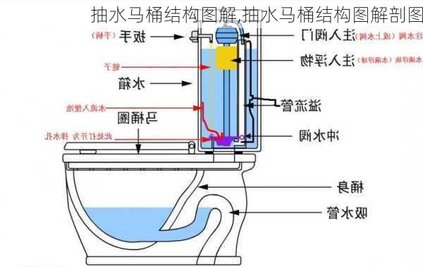 抽水马桶结构图解,抽水马桶结构图解剖图