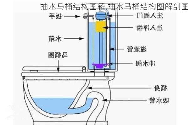 抽水马桶结构图解,抽水马桶结构图解剖图