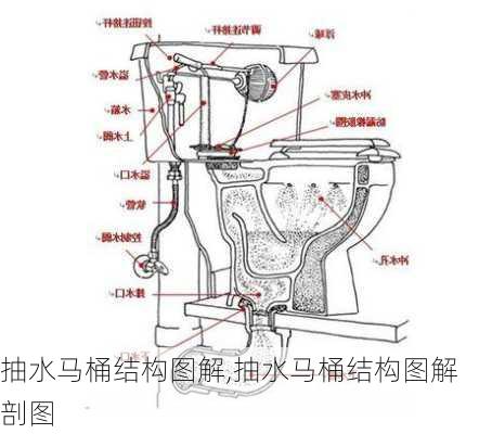 抽水马桶结构图解,抽水马桶结构图解剖图