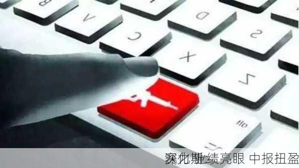 赛力斯：
深化 业绩亮眼 中报扭盈