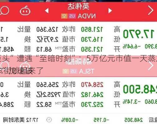 
“七巨头”遭遇“至暗时刻”：5万亿元市值一天蒸发！“AI泡沫”加速破
？华尔街吵起来了