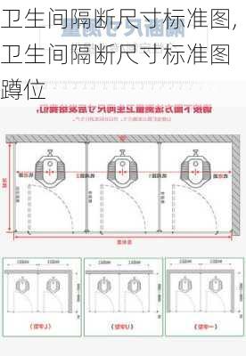 卫生间隔断尺寸标准图,卫生间隔断尺寸标准图 蹲位