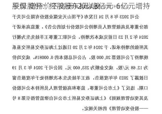 平煤股份：控股股东拟以3亿元-6亿元增持
股份 增持价不高于12元/股