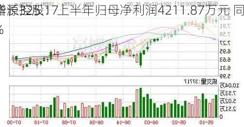 华源控股：上半年归母净利润4211.87万元 同
增长325.17%