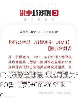 IT灾难致全球最大航司损失5亿CEO誓言索赔CrowdStrike