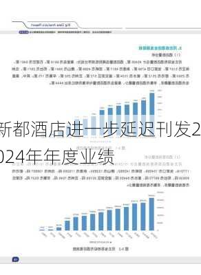 新都酒店进一步延迟刊发2024年年度业绩