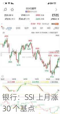 
银行：SSI 上月涨 30 个基点