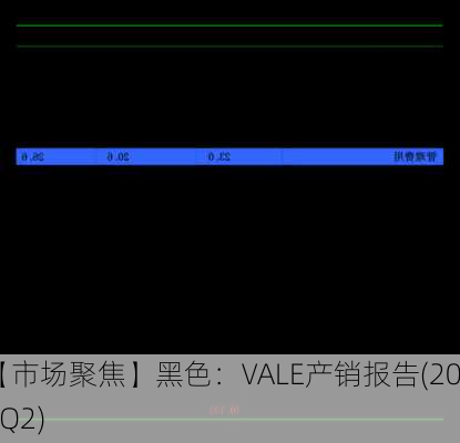 【市场聚焦】黑色：VALE产销报告(2024Q2)