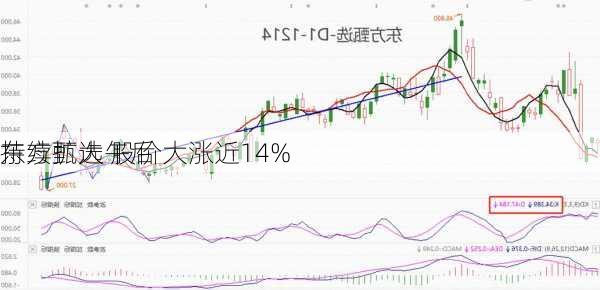 东方甄选午后
持续扩大 股价大涨近14%