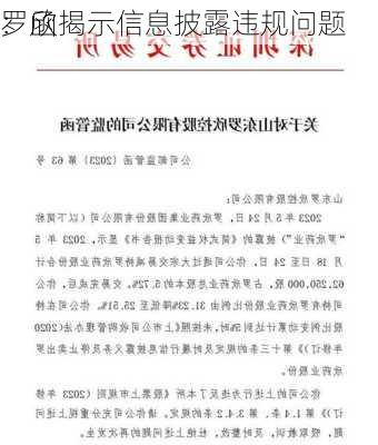 罗欣
：函揭示信息披露违规问题