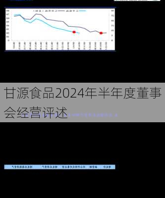 甘源食品2024年半年度董事会经营评述