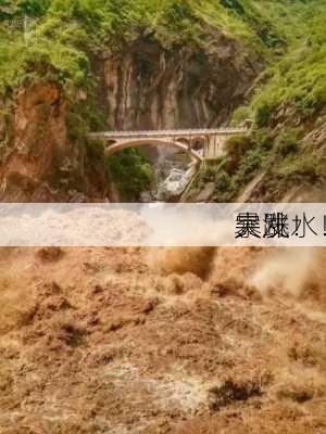 突发！
、
大跳水！
暴涨