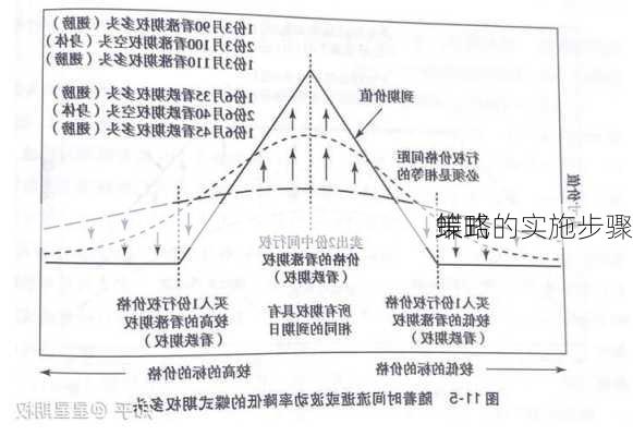 蝶式
策略的实施步骤