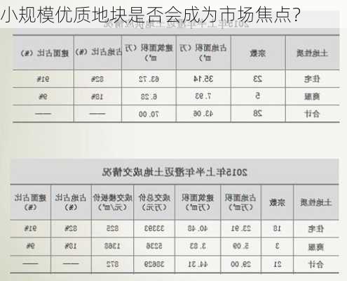 小规模优质地块是否会成为市场焦点？