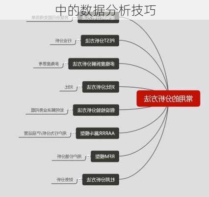 中的数据分析技巧