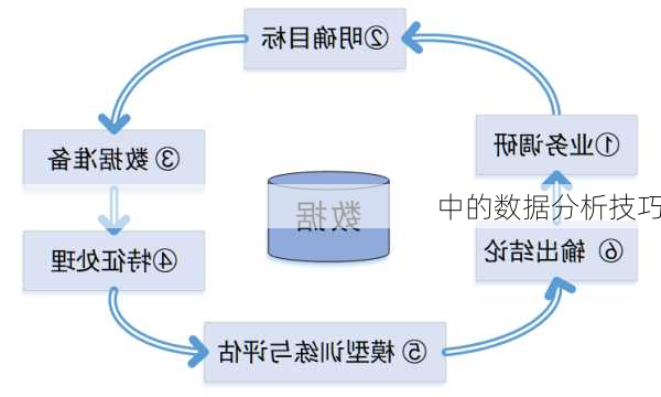 中的数据分析技巧