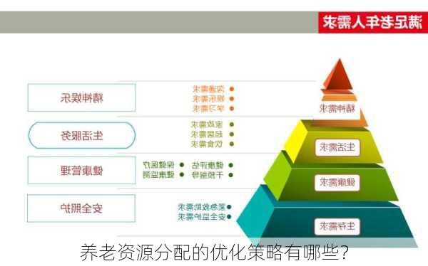 养老资源分配的优化策略有哪些？