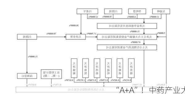 “A+A”！中药产业大
