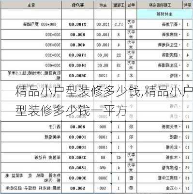 精品小户型装修多少钱,精品小户型装修多少钱一平方