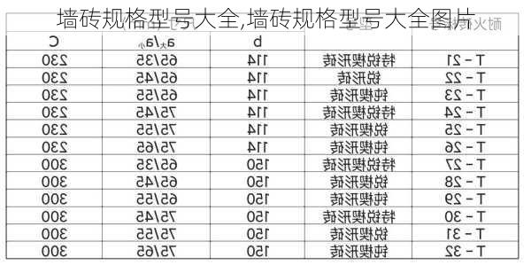 墙砖规格型号大全,墙砖规格型号大全图片