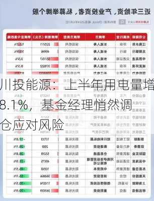 川投能源：上半年用电量增8.1%，基金经理悄然调仓应对风险