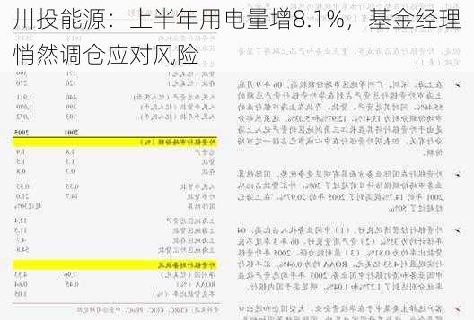 川投能源：上半年用电量增8.1%，基金经理悄然调仓应对风险