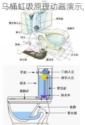 马桶虹吸原理动画演示,