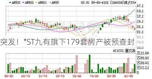 突发！*ST九有旗下179套房产被预查封