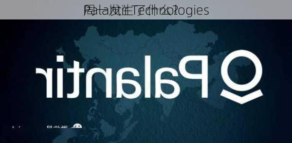 Palantir Technologies
周一发生了什么？