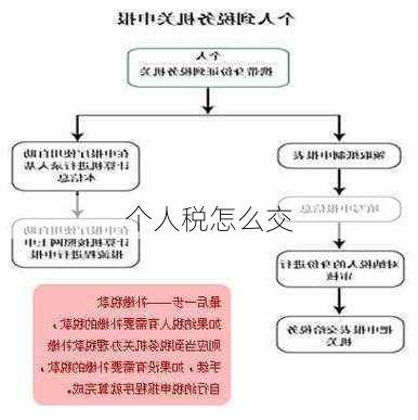 个人税怎么交