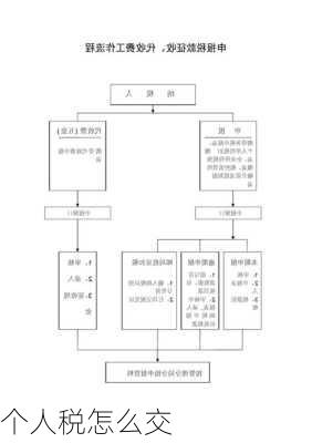 个人税怎么交