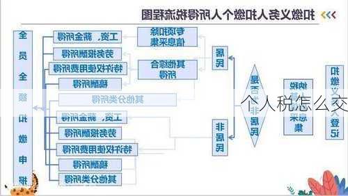 个人税怎么交