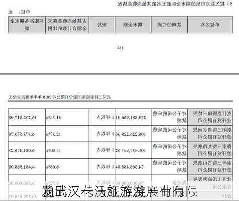 
向武汉卡沃旅游发展有限
、武汉花马红旅游产业有限
发出
函