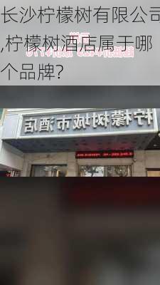 长沙柠檬树有限公司,柠檬树酒店属于哪个品牌?