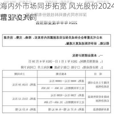 海内外市场同步拓宽 风光股份2024年上半年营业收入同
增37.03%