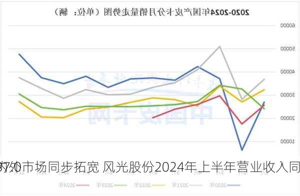 海内外市场同步拓宽 风光股份2024年上半年营业收入同
增37.03%