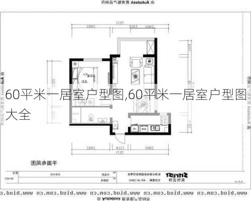 60平米一居室户型图,60平米一居室户型图大全