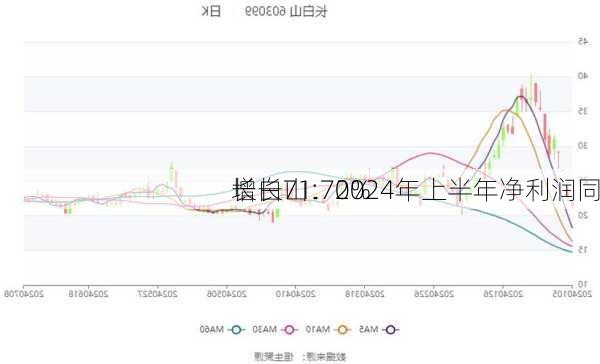 长白山：2024年上半年净利润同
增长71.70%