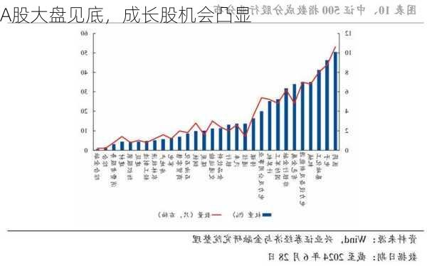 A股大盘见底，成长股机会凸显